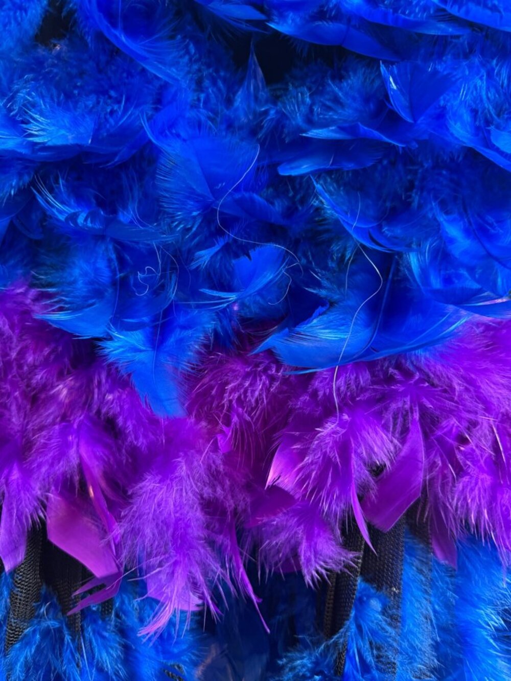 Feather Strappy Ballerina / Mardi Gras Dress Halloween Costume Blue & Purple M/L - Picture 5 of 8